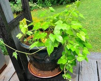 This one is named Ethyl