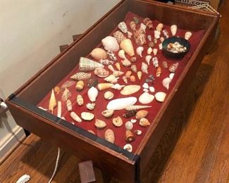 Custom Hand Made display table with magical sea shells filled with memories