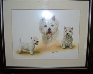 Westies!!!! Robert T May