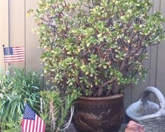 Lots of great patio items