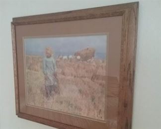 hay harvest