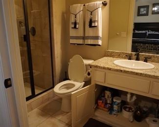 Bathroom Appliances and Towels.
