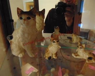 183 cat misc