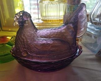 Beautiful purple hen on a nest