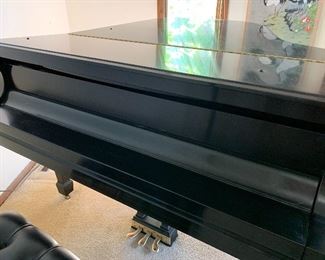 Steinway Grand Piano 