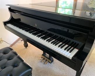 Steinway Grand Piano 