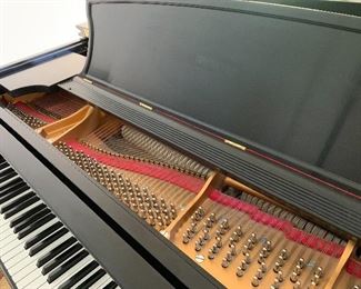 Steinway Grand Piano 