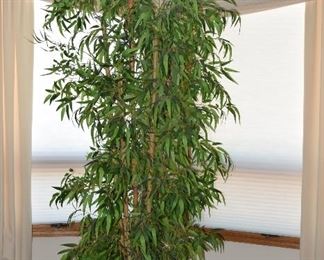 Tall Floor Plant