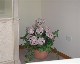 Short Plant
