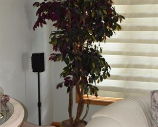 Tall Plant