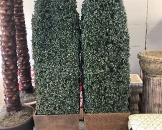 A PAIR OF NICE BOXWOODS 
