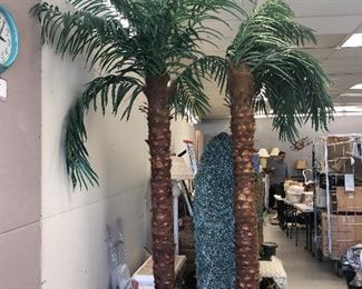 A PAIR OF TALL PALM TREES 