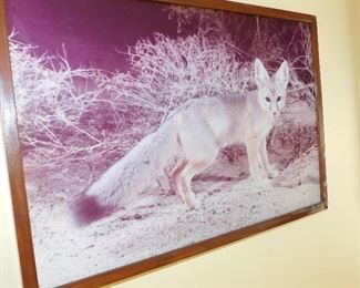 wild life art