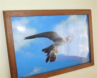 wild life art