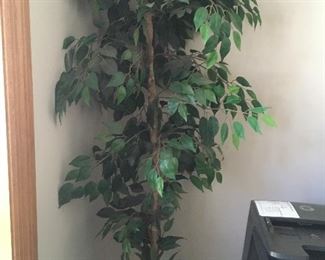 silk ficus tree