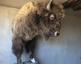Buffalo mount. We are taking bids. Contact us to place a bid. Current bid is $500.