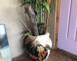 Unique planter. $30