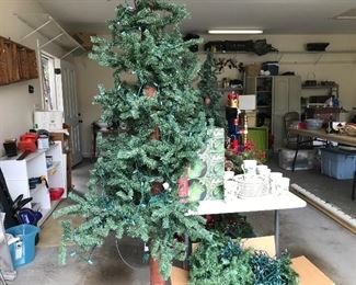 Christmas trees and more to come as we find it.