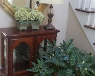 foyer table and mirror and lamp and many plants throughout home