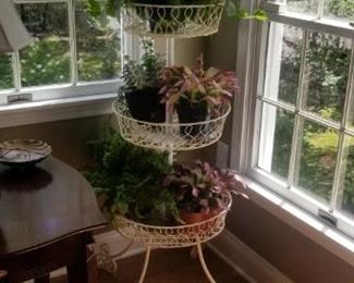 plant holders and plants