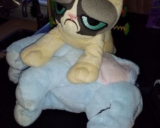 Angry cat