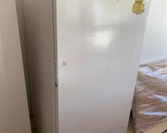 upright Freezer