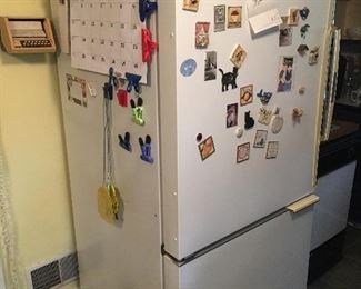 Amana refrigerator