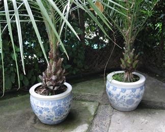 Assembled Pair of Blue & White Jardinaires