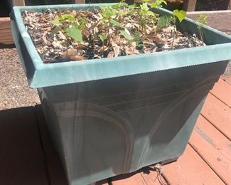 planters