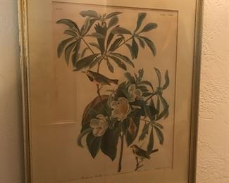 vintage Botanicals/4