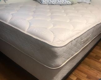 Nice Sealy Full Mattress and box spring with frame.