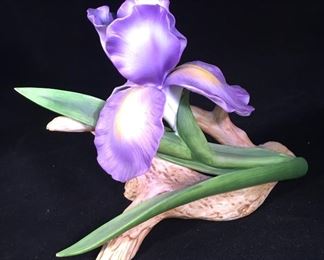 Porcelain Iris Flower