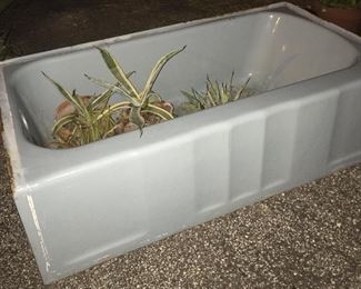 Cast Iron Blue Bathtub, Potted Plants