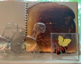 MTV Music Awards Book, Framed Butterflies, Dino Pet from Biopop