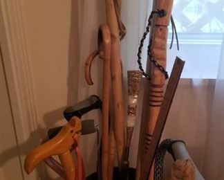 canes and walking sticks