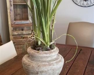 plant decor