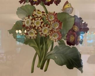 Botanical Prints