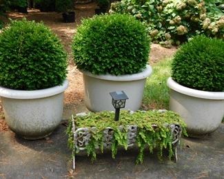 Cast Iron Planter