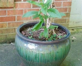 Large Outdoor Planters