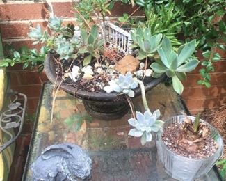Yard Decor/Potted Plants