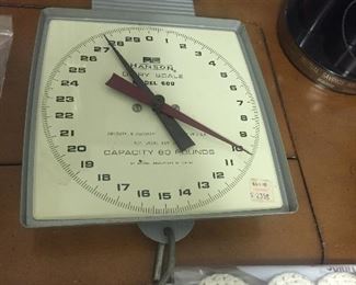 Hanson Hanging Scale