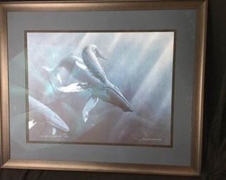 Humpback Whale Print Numbered and Signed