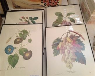 Framed fruit and botanicals