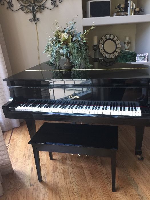 Beautiful Grand Piano by Boston.   Designed by Steinway.  #156.  The smallest grand they make.   Hard to find and in amazing condition.  