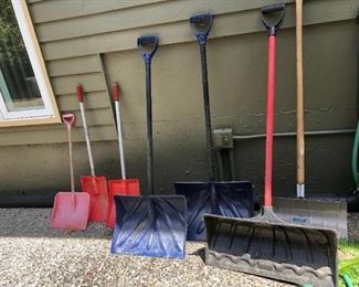 Back Yard: Gaggle of Shovels