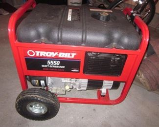 Troy-Bilt 5550 watt Generator