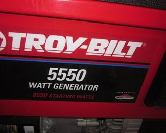 Troy-Bilt 5550 watt Generator