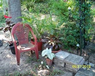 More Plants and Patio Squares