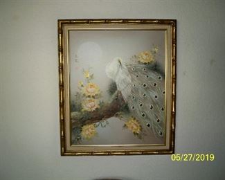 Albino Peacock Painting