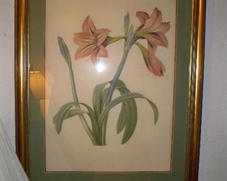 Tiger Lily Botanical Print